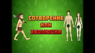 Семинар «Сотворение или эволюция»