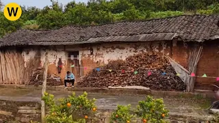 Being abandoned , the man renovated his old house by him and survived in the forest