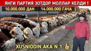 XUSNIDDIN АKA N 1 👍 ЯНГИ ПАРТИЯ ЗОТДОР МОЛЛАР КЕЛДИ ХОРАЗМ БУ́ЙЛАБ ДАСТАВКА !!! ХОРАЗМ БОЗОР