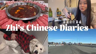 Chinese vlog| Learn Chinese| pick up packages, home cooking and fly to meet my family✨