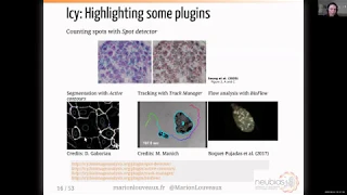 Bioimage Analysis with Icy - [NEUBIASAcademy@Home] Webinar