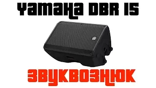 Обзор Yamaha DBR15