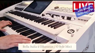 Andy Pruss WERSI Orgel - Italien Medley 2 (Sharazan & O Sole Mio)