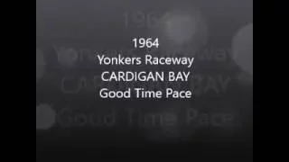 1964 Yonkers Raceway CARDIGAN BAY Good Time Pace Stanley Dancer