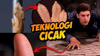 Tidak Ada Teknologi Sehebat Kaki Cicak. Spider-Man Pun Kalah | Nanoteknologi Di Kaki Cicak