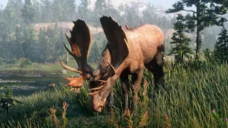 Red Dead Redemption 2 : где найти лося? (Red Dead Redemption 2 : Moose location)