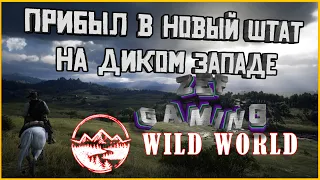 Wild World - RP сервер для Red Dead Online/Redemption 2. Первое знакомство!