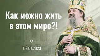 Как можно жить в этом мире?! Проповедь о. Андрея Лемешонка после Литургии 8 января 2023 г.