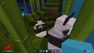 Minecraft Zoo - Pandas Eating Bamboo