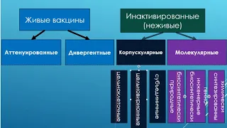 Фундаментальные основы вакцинации