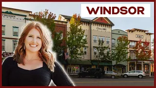 Moving to Windsor, CA [FULL VIDEO WINDSOR EXPLAINED] Living in Sonoma County, CA