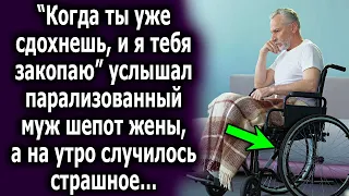 Муж случайно услышал шокирующие слова супруги, а на утро произошло удивительное…