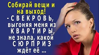 - Освободи квартиру! - кричала СВЕКРОВЬ, выгоняя меня, да только НЕ ЗНАЛА, какой ждёт её СЮРПРИЗ…