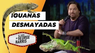 El Show de GH 04/02/21 Parte 1 - Iguanas se desmayan en Miami 🦎