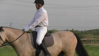 Рабочая выездка на стиль, конный клуб "Western Horse"