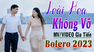 ✔️ VIDEO/MV Loài Hoa Không Vỡ Liên Khúc Bolero Gia Tiến Ngọt Ngào Say Đắm Nhiều Thế Hệ