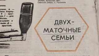 Двух-маточные пчелосемьи. №6.1986. (Увеличение медосбора на пасеке)