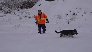 Introducing the Municipality of La Pêche's new animal control officer and service.