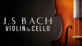 J.S. Bach: The Violin Concertos | 3 HOURS NO ADS(playlist)