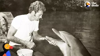 Former Dolphin Hunter Devotes His Life To Saving Dolphins | The Dodo
