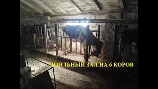 Milking Process. Доильный зал. Домашнее молоко и коровы, доильный аппарат - доения коров на ферме