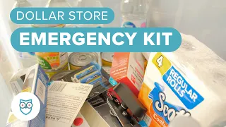 72-HOUR Emergency Kit with ONLY Dollar Store Items?