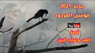 قصة العبد وغراب البين جديد ..موسى المردود  2021