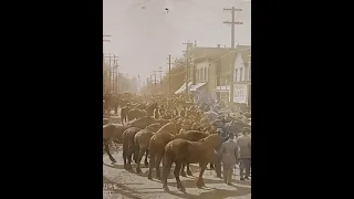 Hillsboro Pharmacy In Hillsboro Oregon Video History Lesson