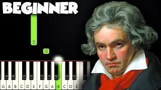 Beethoven - Moonlight Sonata | BEGINNER PIANO TUTORIAL + SHEET MUSIC by Betacustic