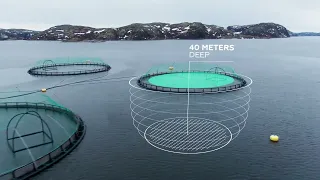 INARCTICA- Leader of Salmon Aquaculture in Russia