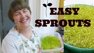 How to Sprout Sprouts: Sprouting Made EASY