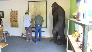 Sasquatch search: Bigfoot museum opens in Oregon