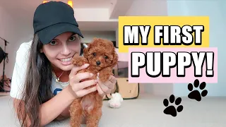 Vlog: My FIRST DOG ! First 24 hours with a PUPPY 🐶