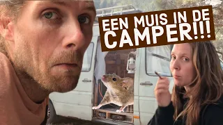 MINI VLOG 1 | EEN MUIS IN DE CAMPER!!! | SUN SETTLING