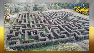 “Unusual Mission Strategies (MAZE)” - 3ABN Today  (TDY210036)