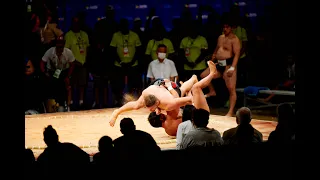 European Sumo Championship