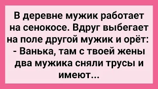 Ваня, Там Твою Жену Два Мужика... Сборник Свежих Смешных Жизненных Анекдотов!