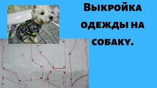 Выкройка одежды на собаку.