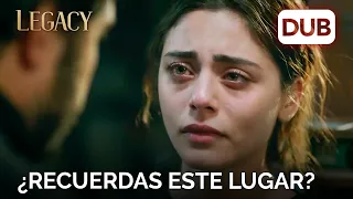 Seher ha vuelto a los viejos tiempos | Legacy Capítulo 433