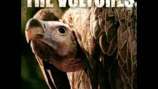 The Vultures - Pick Apart Brains