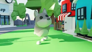 Wolf says hi! [ Adopt me Animation]