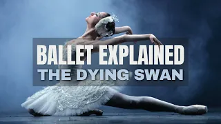 The Dying Swan - Ballet Explained