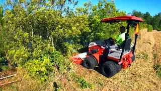 Mowing Trees Found Hidden Pond (Ventrac 4520)