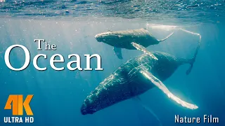 The Ocean 4K - A Relaxing Film for Ambient TV in 4K Ultra HD - Relaxing Music