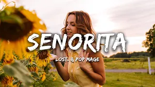 lost., Pop Mage - Senorita (Magic Cover Release)