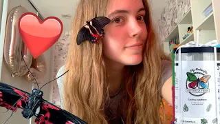 I got butterflies! 🦋 | Butterfly Farm 🍊