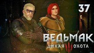 Трисс в беде. Геральт выручит [Ведьмак 3 #37] *СЮЖЕТ*