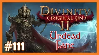 Let's Play Divinity: Original Sin 2 - Fane (Undead) #111 💀 Die Namenlose Insel 💀 [Deutsch]