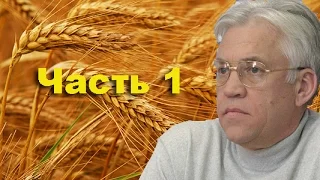Шукач ТВ | Днепровские пороги, Игорь Шпирка (часть 1)