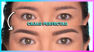 Tutorial de CEJAS PERFECTAS paso a paso